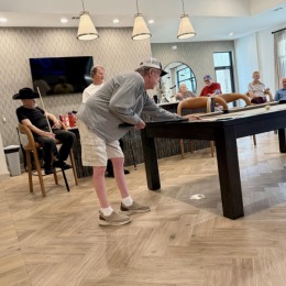 The ArborView Stripes and Solids Eight Ball Tournament